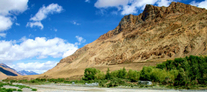 Blue mango in Himalaya Mountains