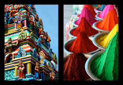 Colors of South India